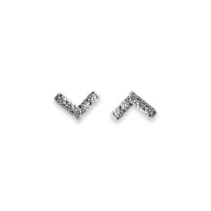 Vivid V-Shape Earrings